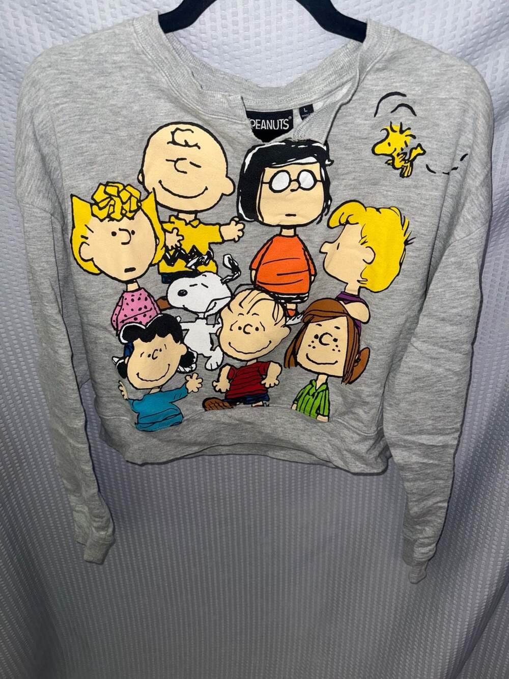 Peanuts Gang Graphic Cropped Sweatshirt Grey Size L